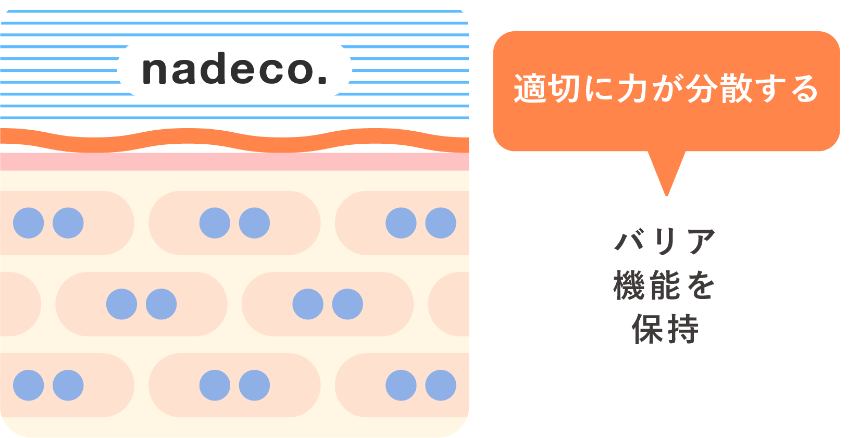 適切に力が分散する バリア機能を保持